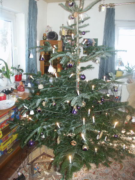 weihnachtsbaum2008.JPG