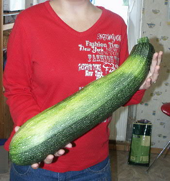 moerderzucchini.JPG